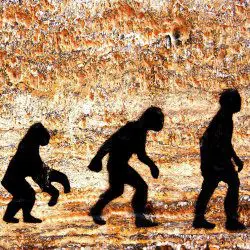 image of man evolution